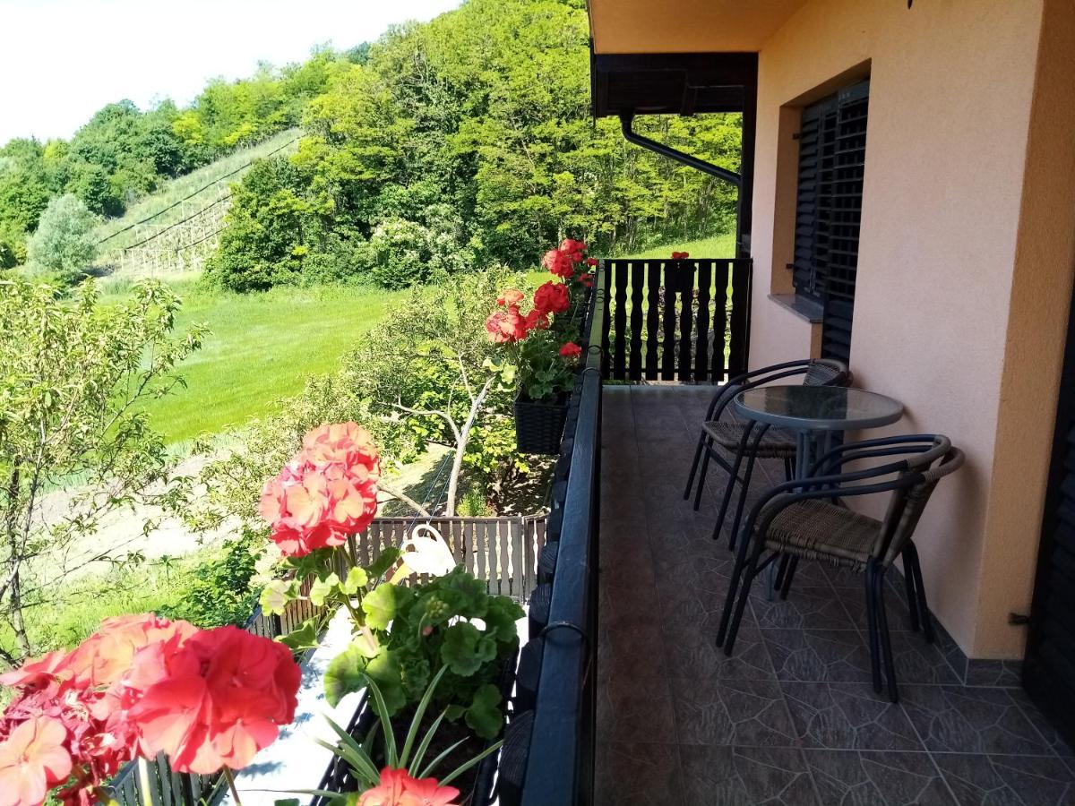 Apartman Potocki Krapina Kültér fotó