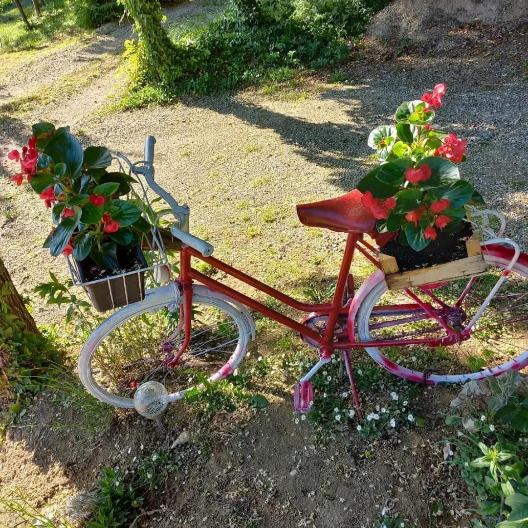 Apartman Potocki Krapina Kültér fotó