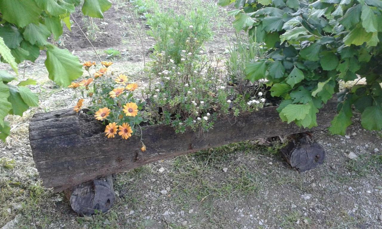 Apartman Potocki Krapina Kültér fotó