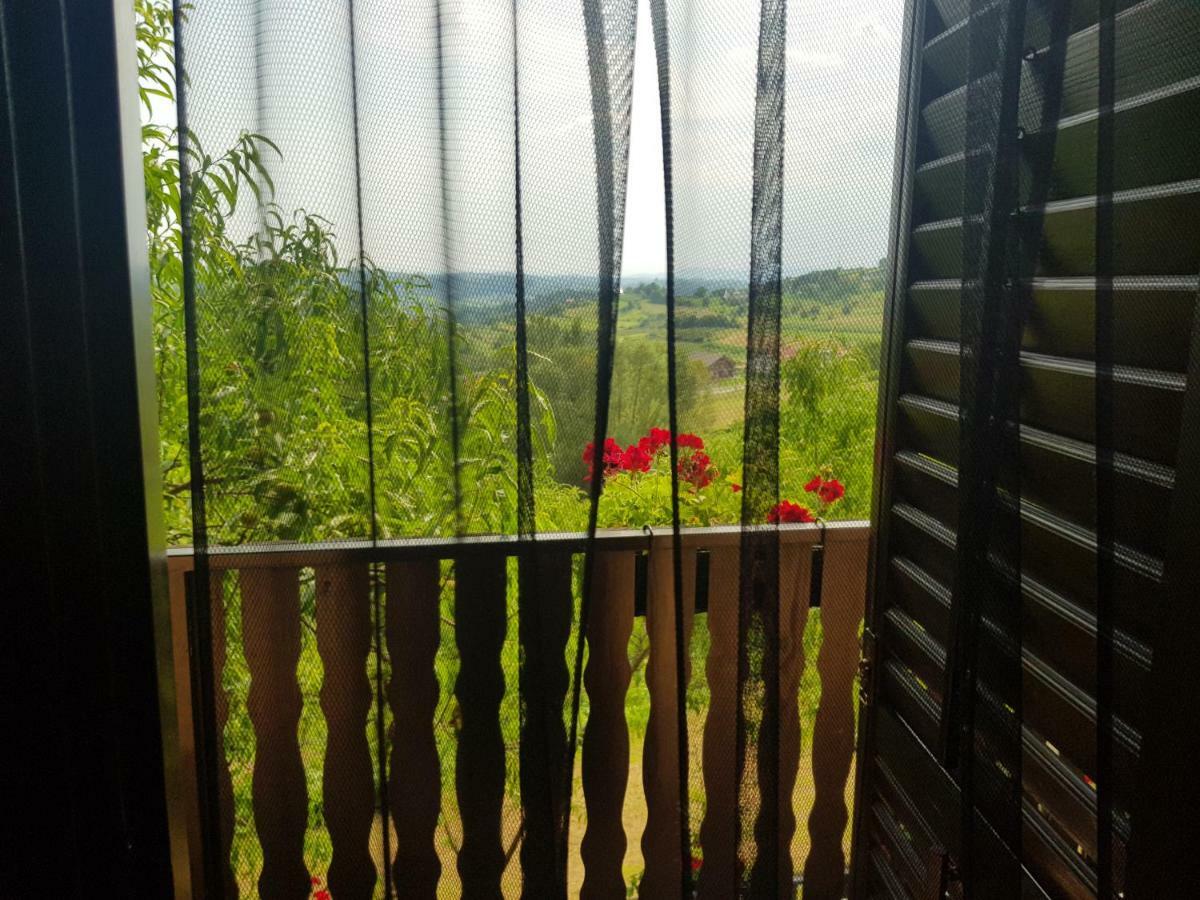 Apartman Potocki Krapina Kültér fotó