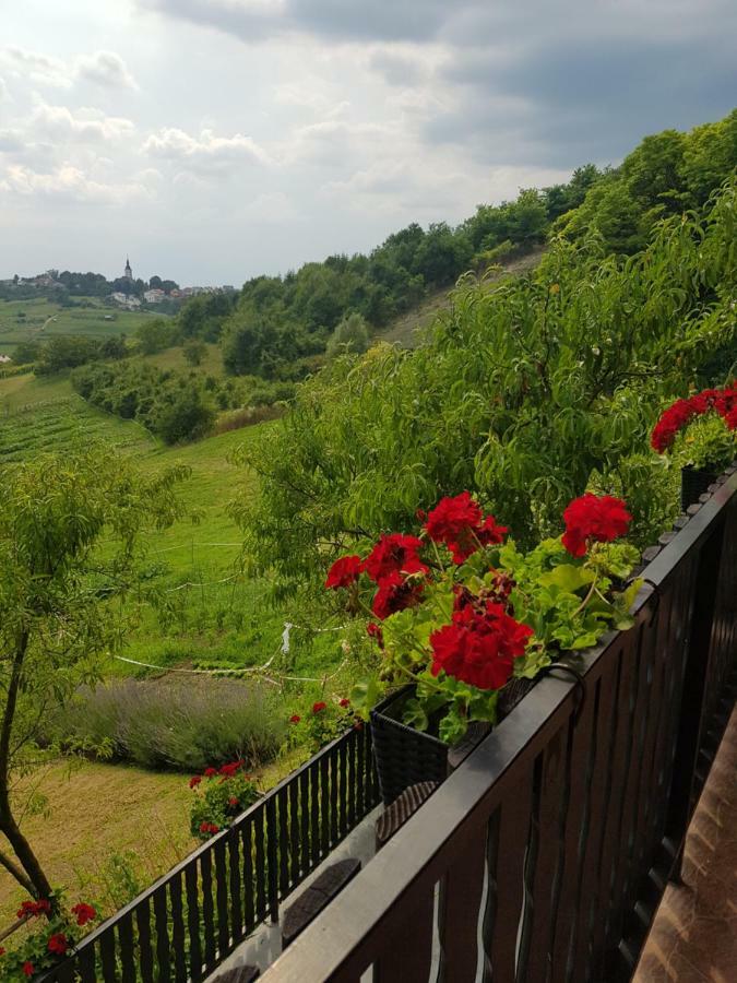 Apartman Potocki Krapina Kültér fotó