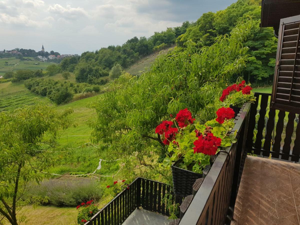 Apartman Potocki Krapina Kültér fotó