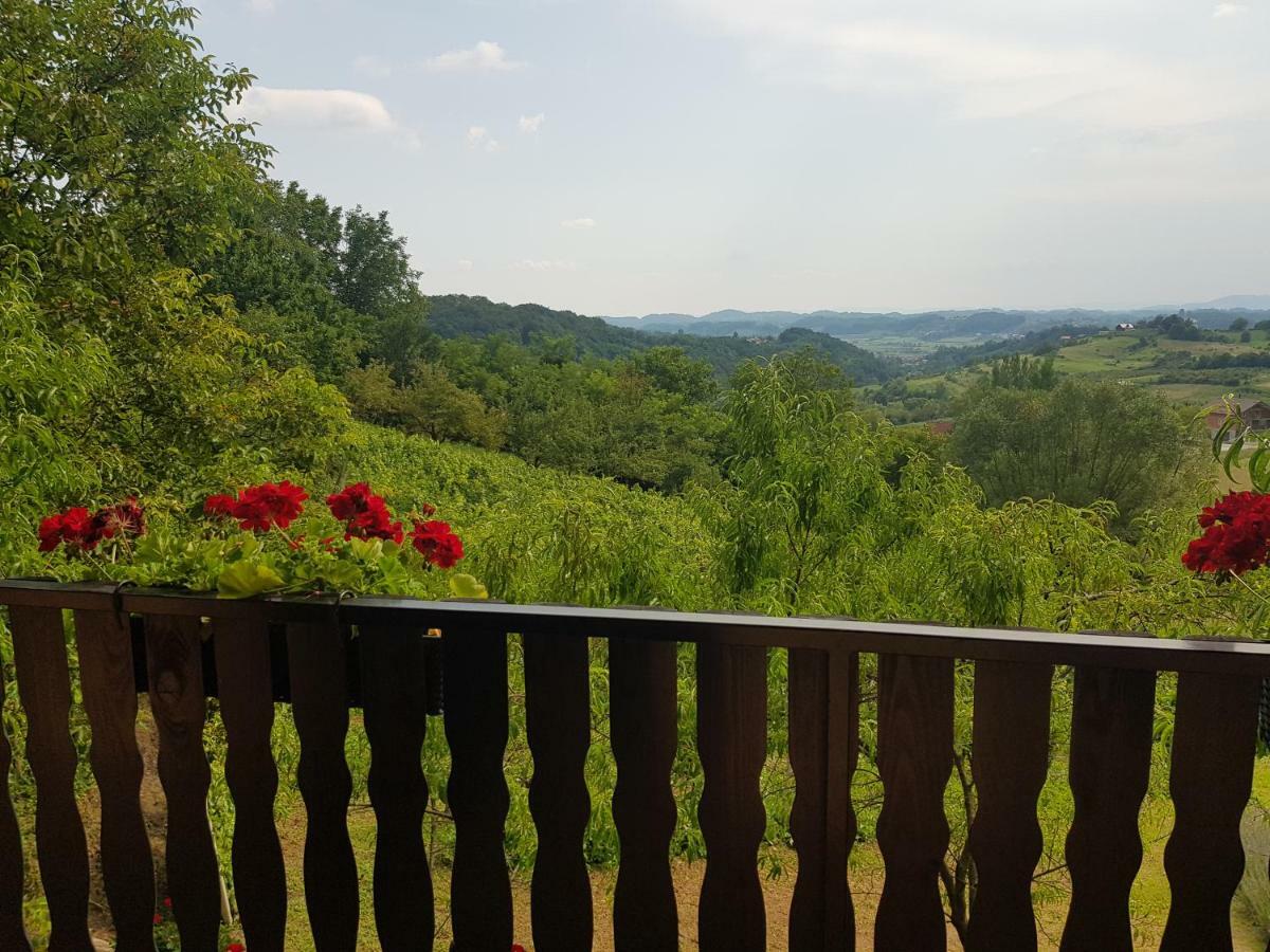 Apartman Potocki Krapina Kültér fotó